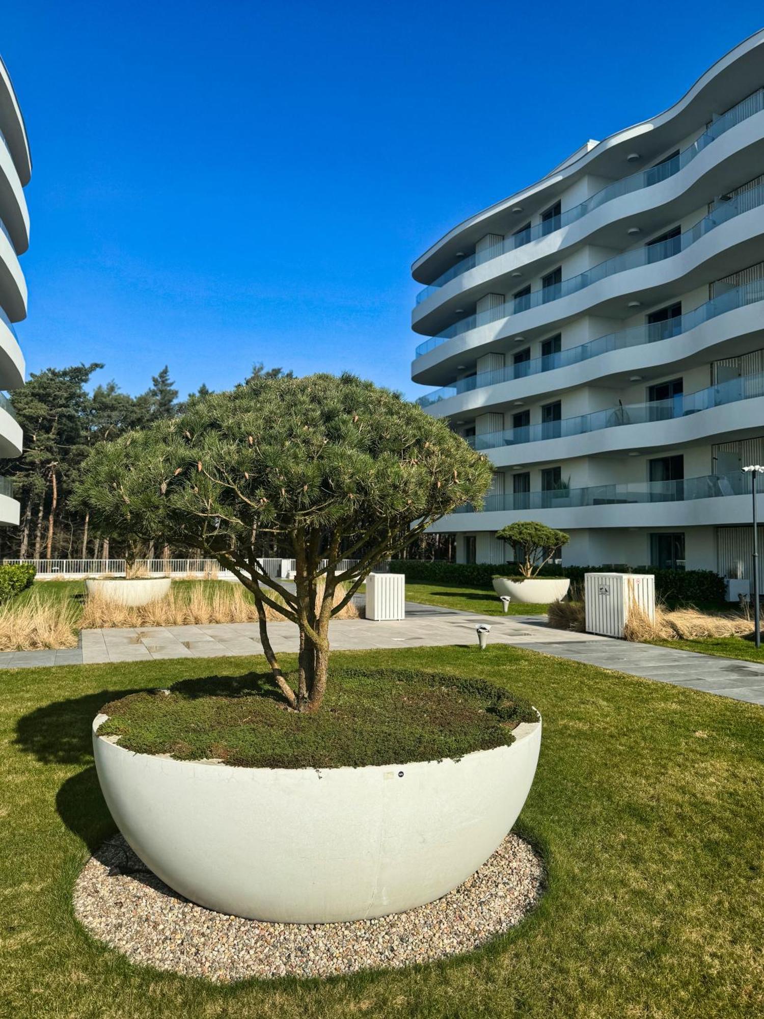 Rogowo Pearl Apartamenty المظهر الخارجي الصورة
